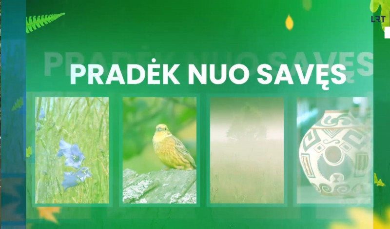 Pradek nuo saves.jpg