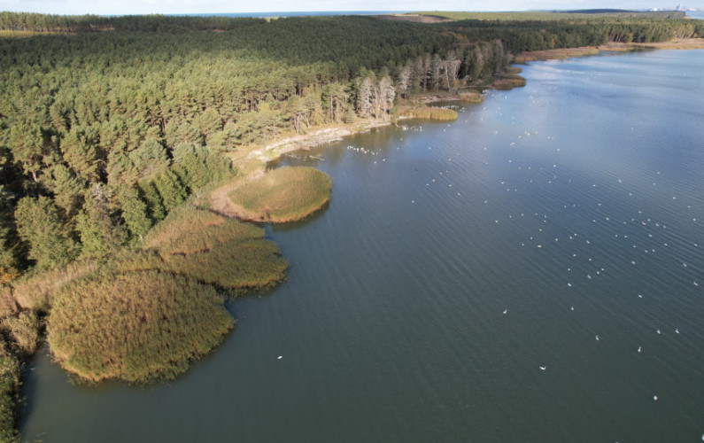 Natura 2000 Kursiu nerijos NP.jpg