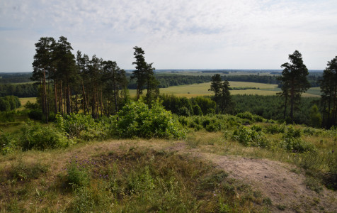 Girnikų kalnas.