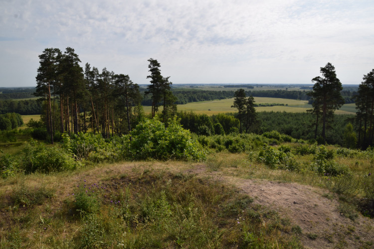 Girnikų kalnas.